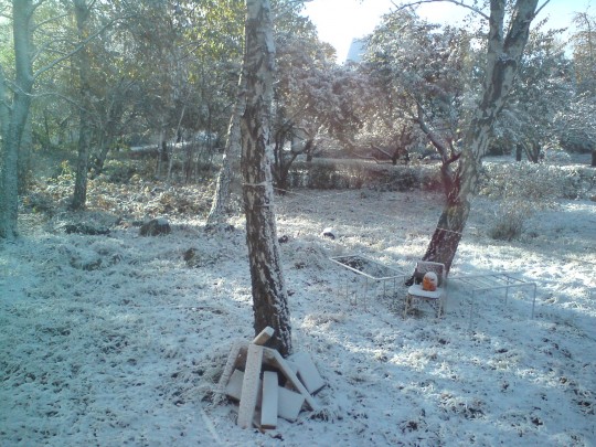 View out of the window from mah desk when the first snow came a few weeks ago.