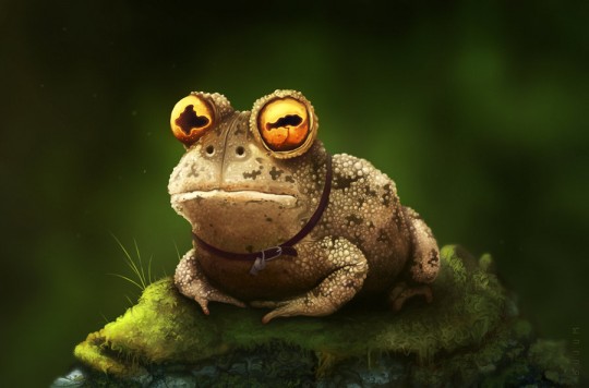 Hail hail to the hypnotoad.jpg