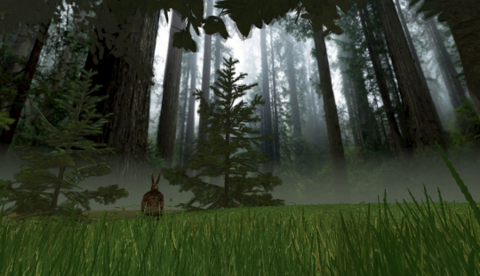 the forest 01.png